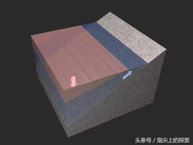 听蓝鲸说慢慢“长大”的故事
