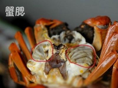 十一放假吃螃蟹，你准备好了吗？