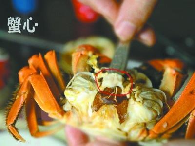 十一放假吃螃蟹，你准备好了吗？