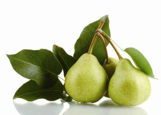 苹果成为了大众的“掌中宝”，而梨被称为“百果之宗”