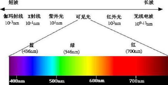 自然故事｜癌症？晒个太阳就破了！
