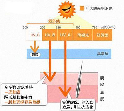 皮肤晒伤的元凶