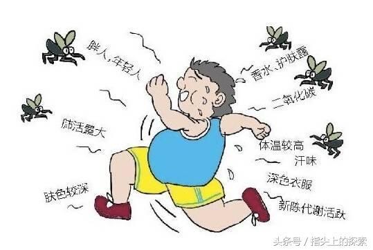 对付秋蚊子，我有小妙招！