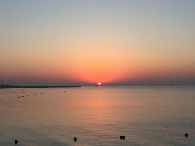 鱼肚白_将目光投向天空_笔记_指尖探索 · 科学