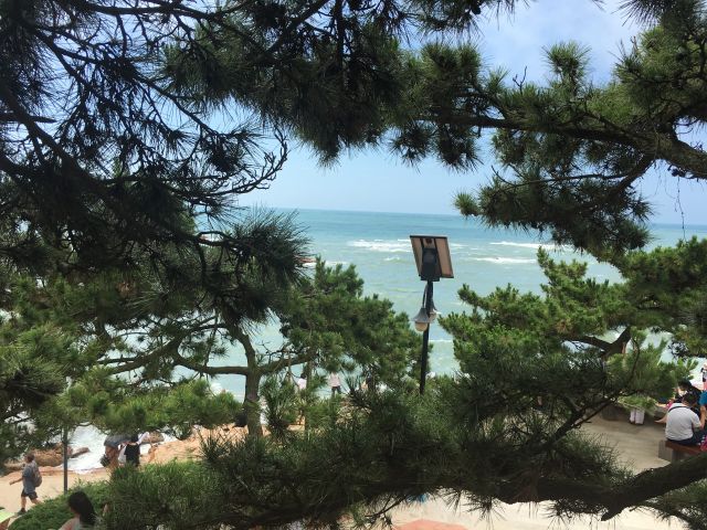 青岛八大关的海景