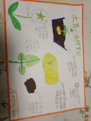 土豆之自然笔记