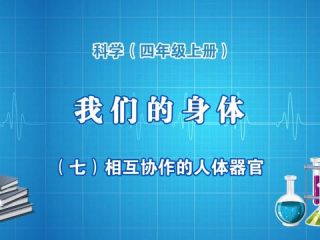 相互协作的人体器官
