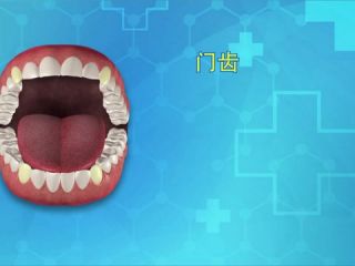 食物在口腔里的变化