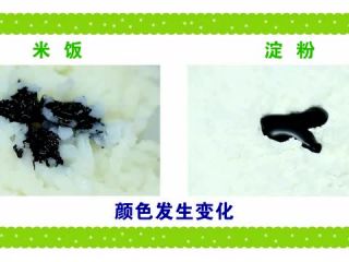米饭、淀粉和碘酒的变化