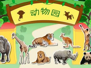 种类繁多的动物