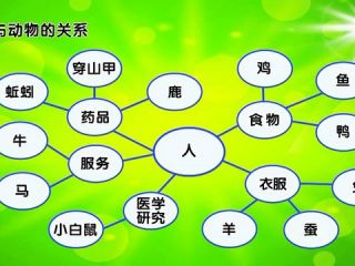 生物多样性的意义