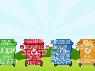 分类和回收利用